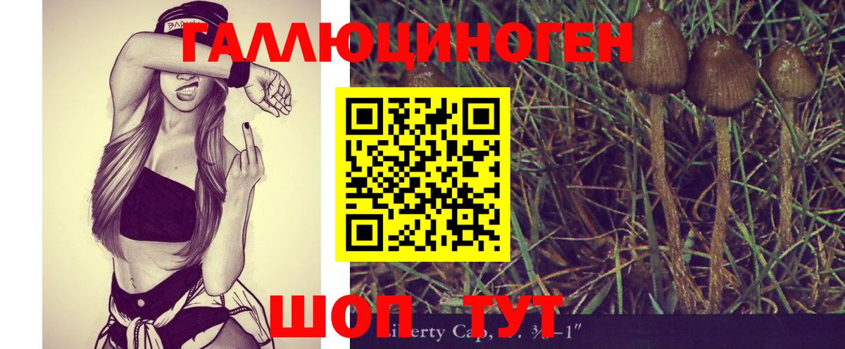 Псилоцибиновые грибы ЛСД Туймазы