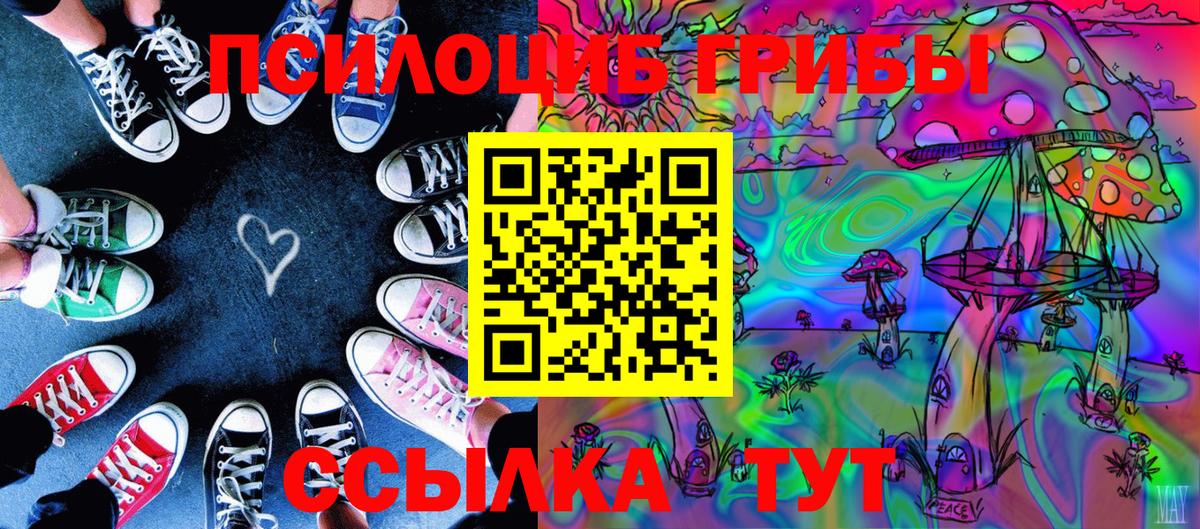 Галлюциногенные грибы GOLDEN TEACHER  Вход с VPN  Туймазы  Псилоцибиновые грибы прущие грибы 